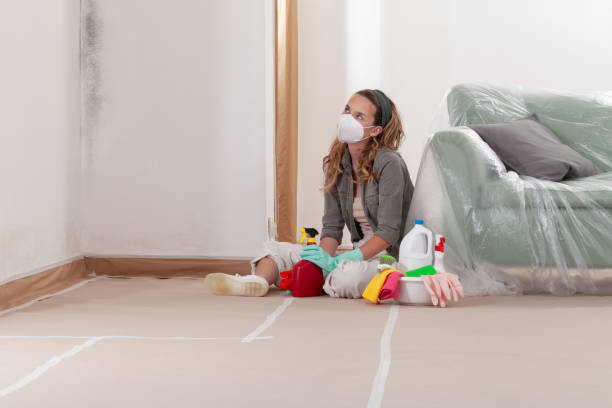Reliable Commercial Mold Remediation contractor in Kent, WA by WQB Mold Removal